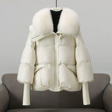 Inde - Manteau Parfait pour l'Automne